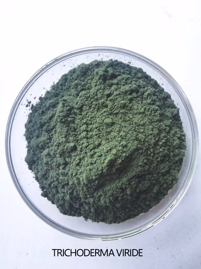 Best Price China Naite Supply Pseudo Boehmite Powder in Petrochemical Industry